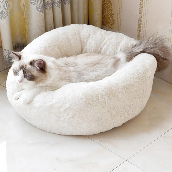 White Fluffy Cat Bed - Cats Paradise Shop